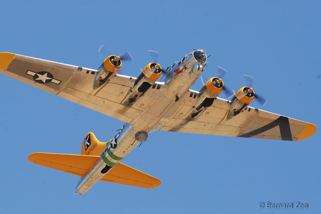 DSZ_0742